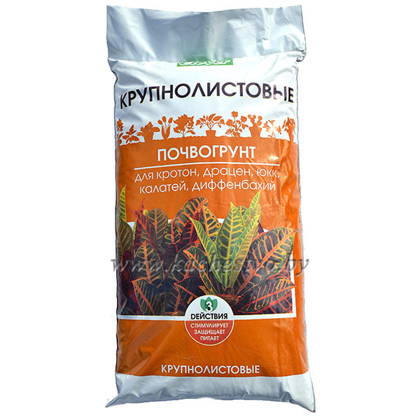 Для кротона такой же грунт как Для кротона такой же грунт как